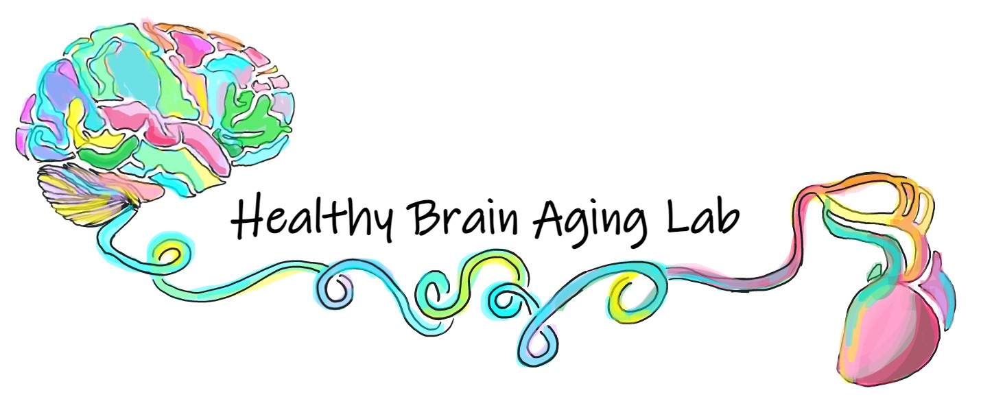 lab logo reads Healthy Brain Aging Lab with watercolor brain in profile connected to a heart
